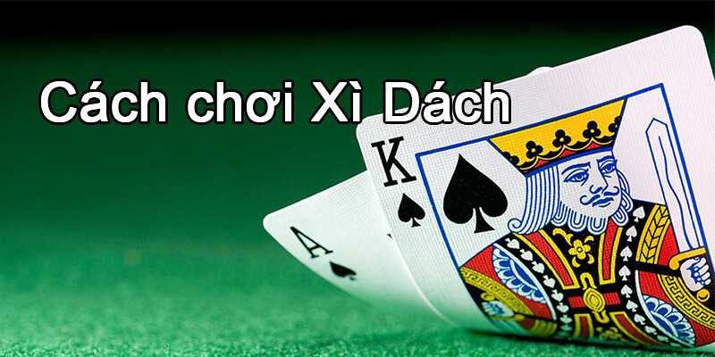 Cách chơi xì dách đơn giản, dễ hiểu và dễ thắng 