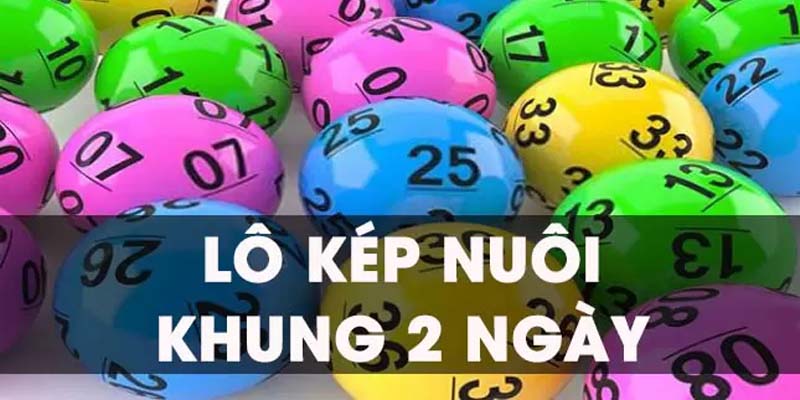 Nuôi lô 2,3 ngày sẽ nâng cao tỷ lệ chiến thắng của bạn